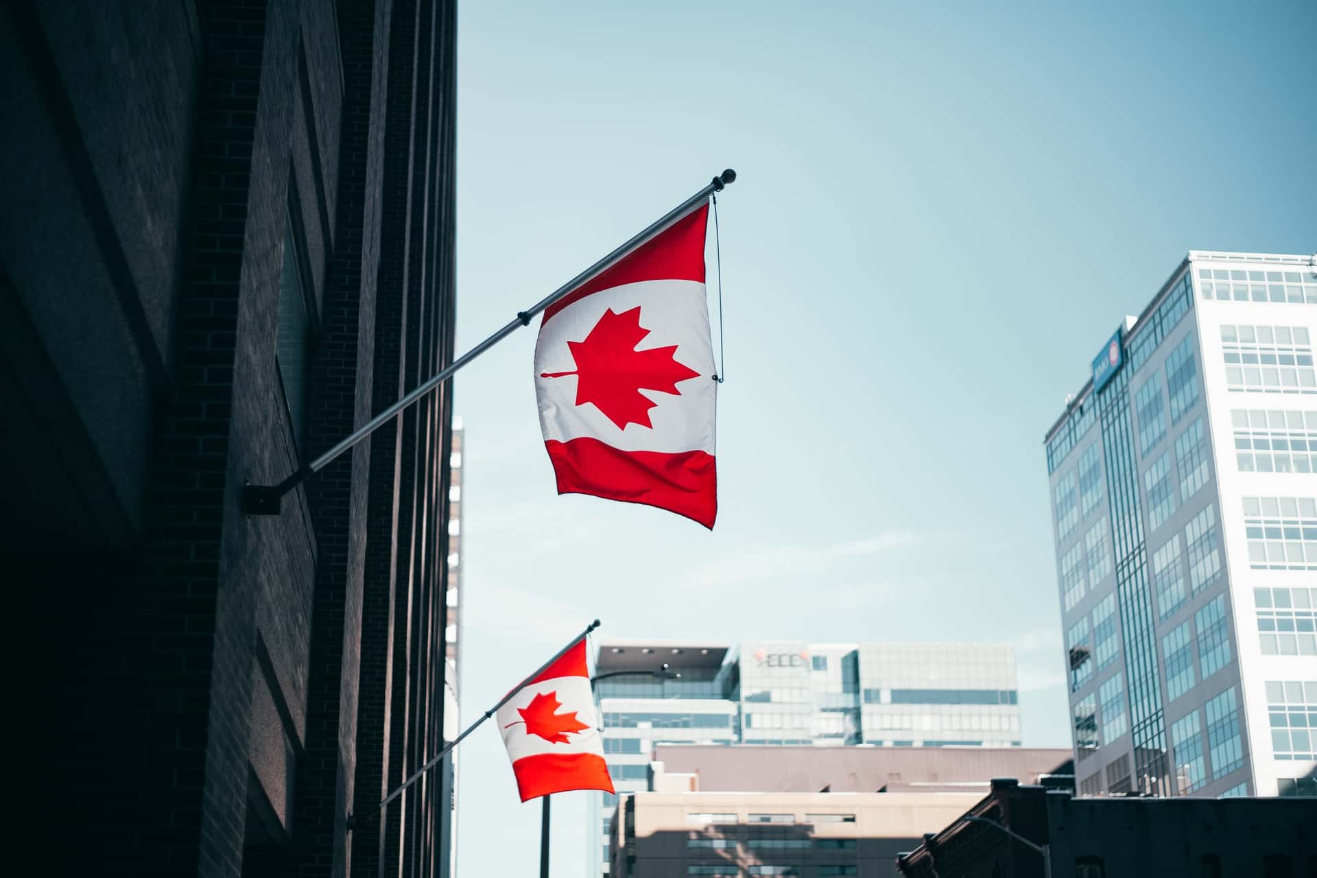 Find Out the Status of Your Immigration Consultant Through ICCRC