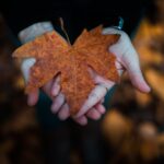 Inadmissibility to Canada