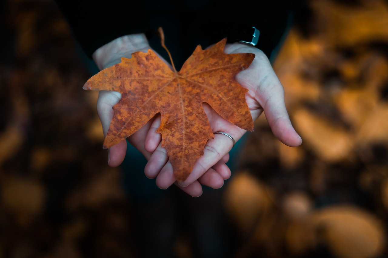 Inadmissibility to Canada