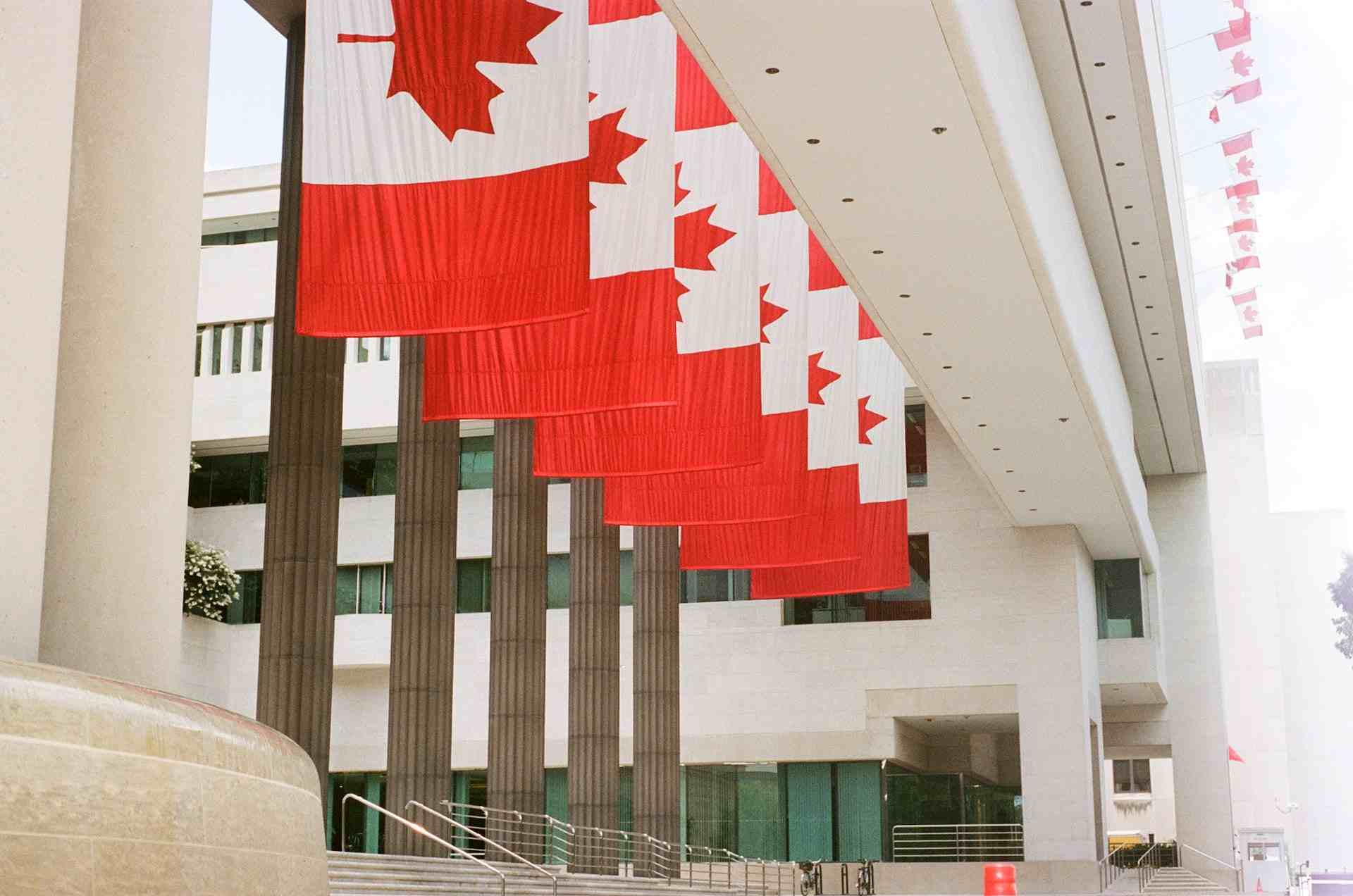 immigration news feb 12