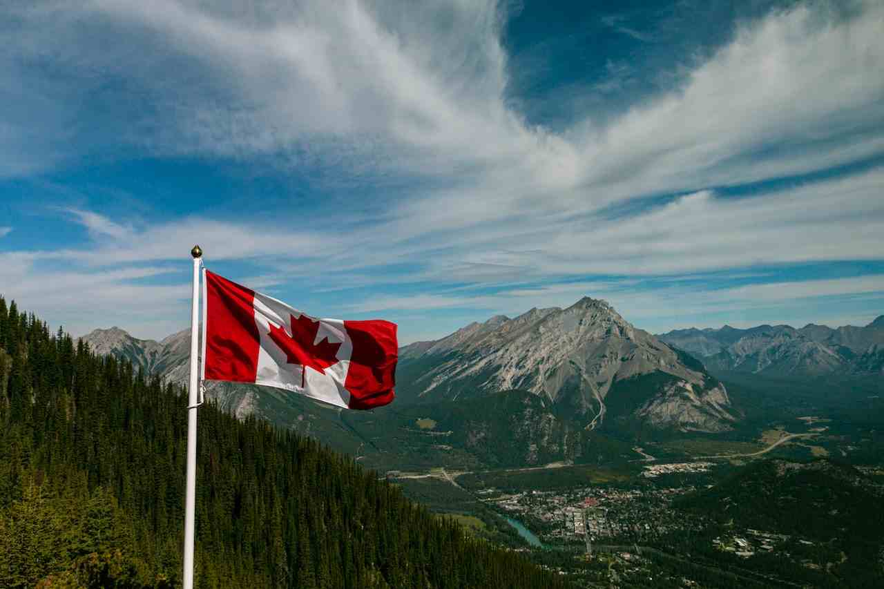 Immigration News Feb 29