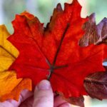 Immigration News July 3