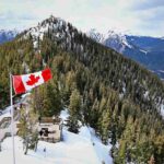 Immigration News November 14